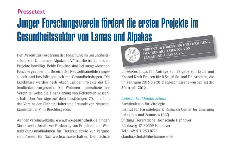 Eine Kopie des Berichts über die ersten geförderten Projekte