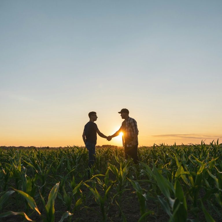 Zwei Männer schütteln sich auf einem Feld die Hand